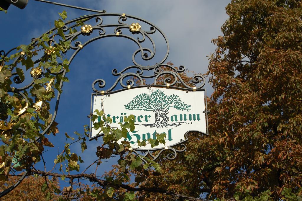 Hotel Gruener Baum Bretzenheim Экстерьер фото